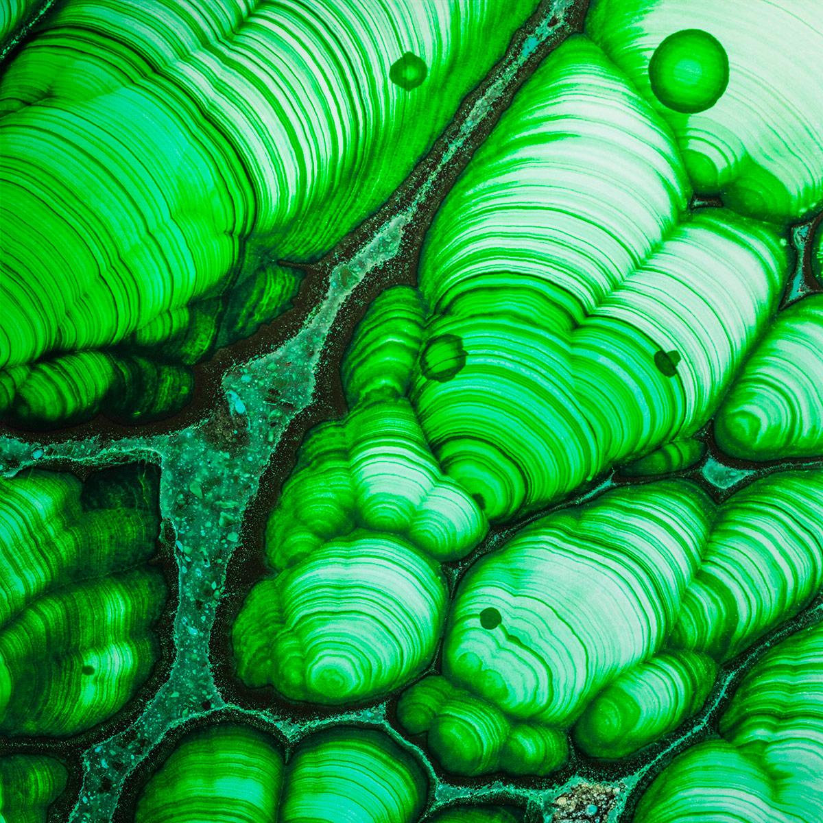 SICIS Ondulato Green Cro Spathula sun-id-1991047 - Вид №1