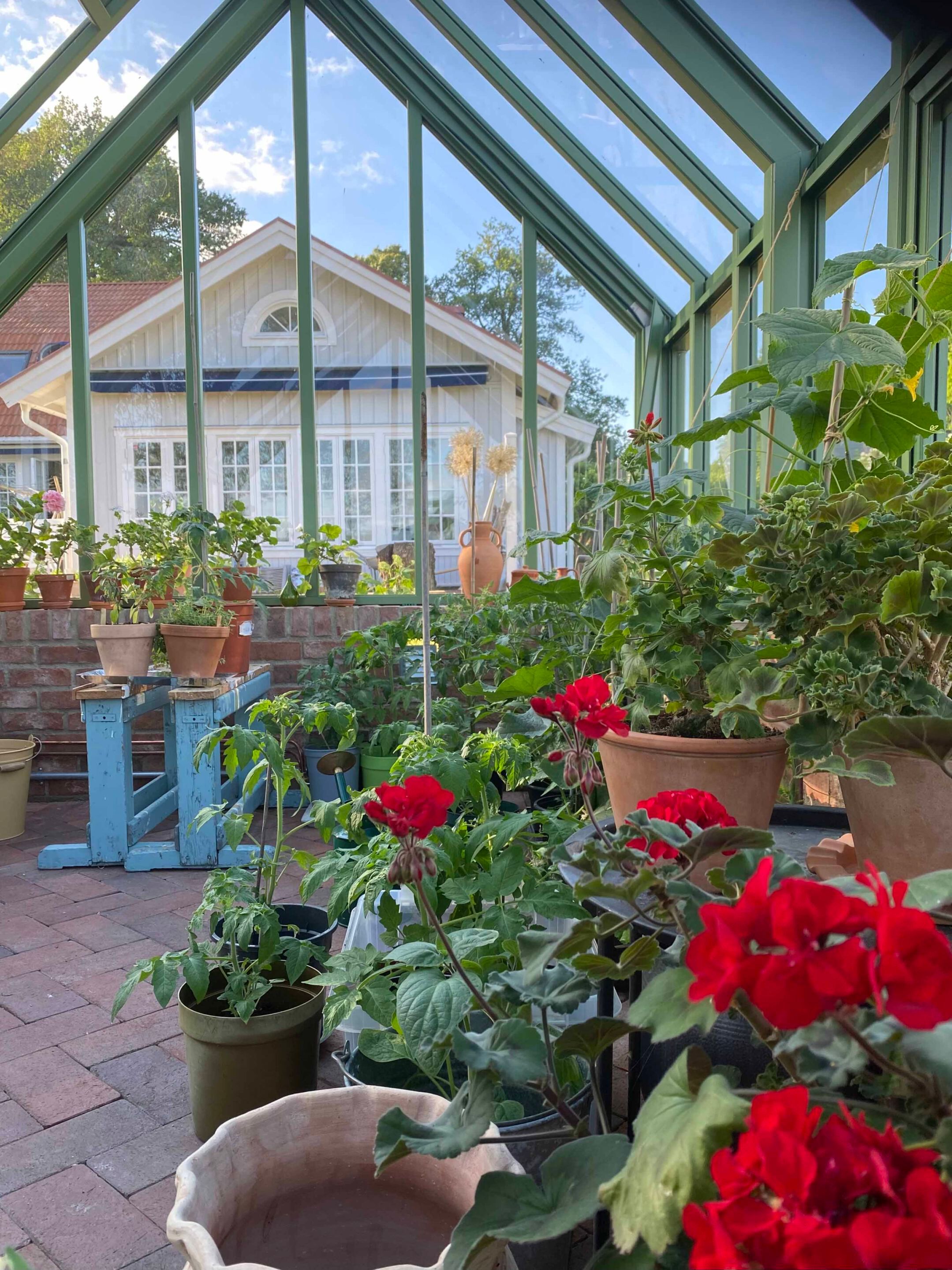 Алюминиевая Садовая теплица VANSTA розы ARCH-00051751 - Вид №2