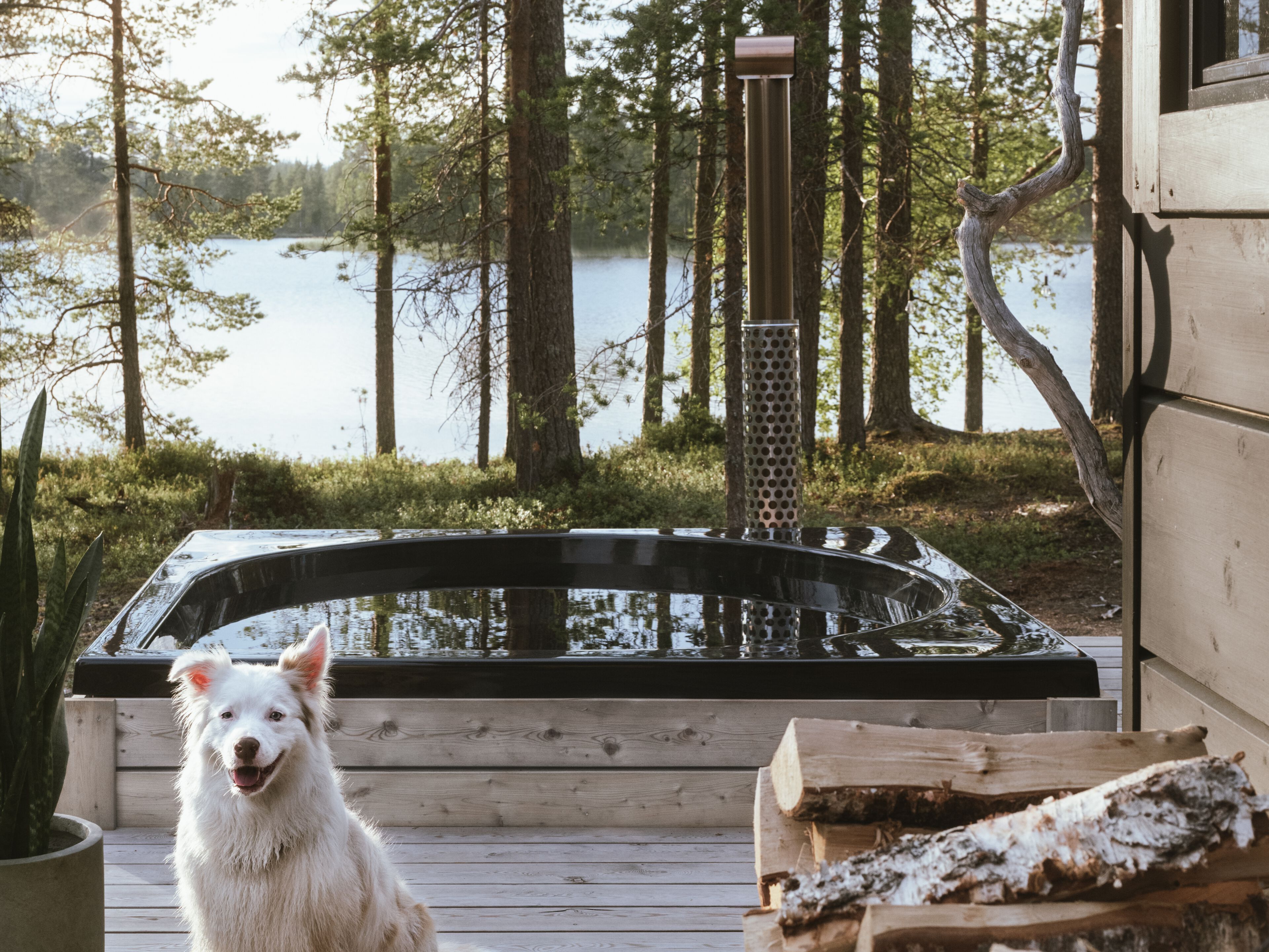 Открытый акриловый мини-бассейн Drop PISARA ARCH-00140108