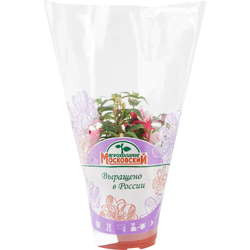 Фуксия Santreyd - цветущая балерина в вашем саду 15983337 STLM-0006520 - Вид №3