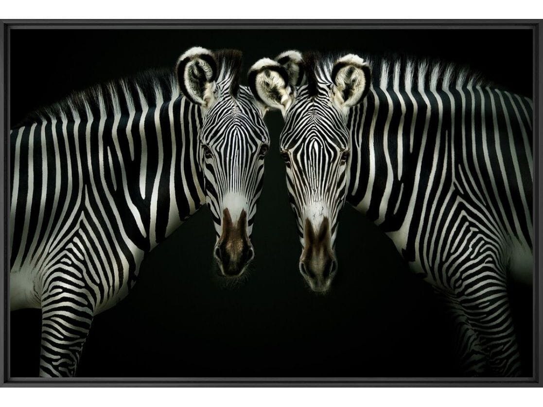 Печать фотографий на бумаге YellowKorner животное ARCH-00092055 - Вид №1