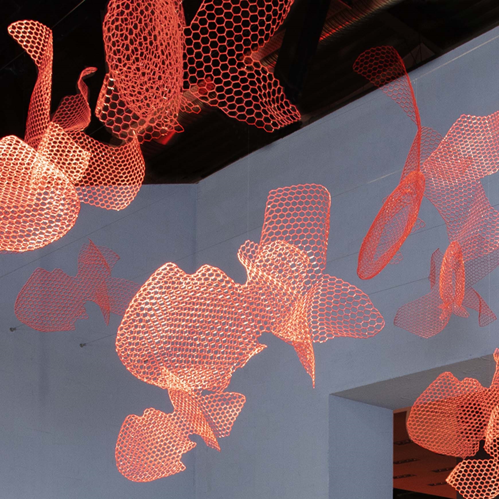 Рыба Magis sun-id-1328980 - Вид №2