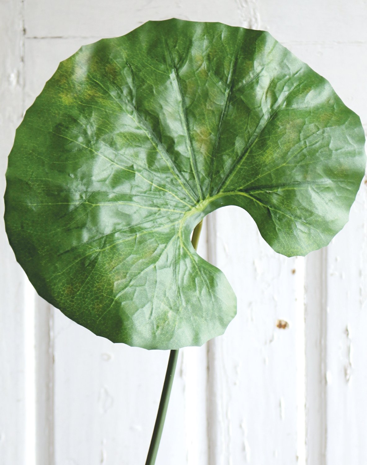 6340 883 a3 Лист искусственного лотоса, 90 см, Ø 30 см, зеленый H-andreas  - Вид №5