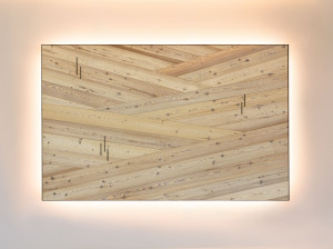 Яркая декоративная панель из лиственницы
