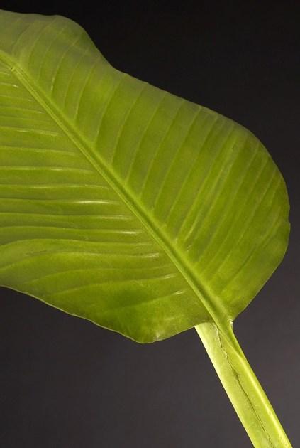 VGnewtrend Искусственное растение из полиэстера  1040832.60  - Вид №1