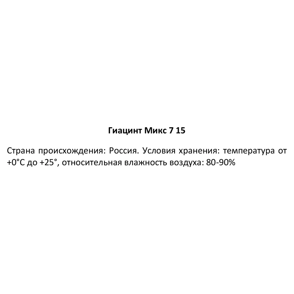 Гиацинт микс ø7 h15 см 89355871 STLM-2061433 Santreyd  - Вид №2