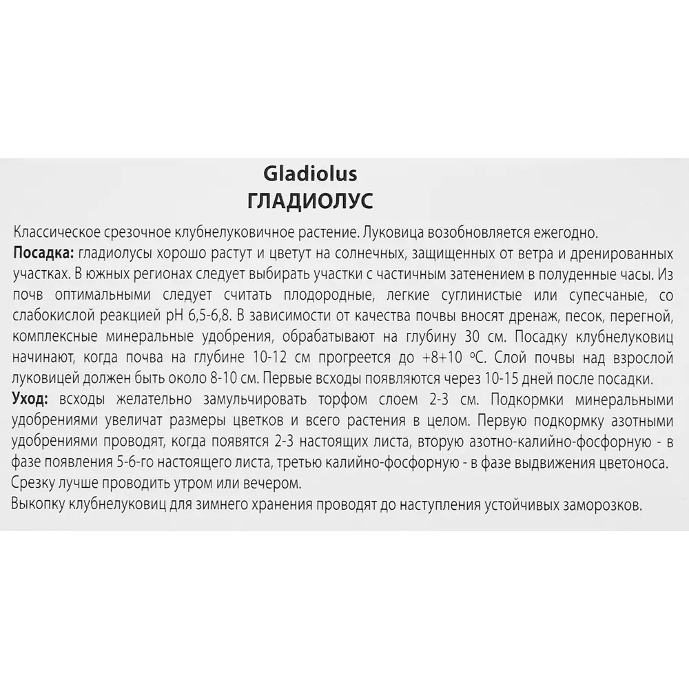Гладиолус крупноцветковый Зизани, 3 шт 86410028 STLM-2021505 ПОИСК  - Вид №2