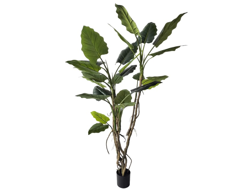 Искусственное растение BIZZOTTO ALOCASIA H200 ARCH-00076327