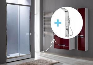 Душевая дверь Aquanet Delta NPE6121 120 (+ панель Aquanet Galaxy Shine AP40-01)