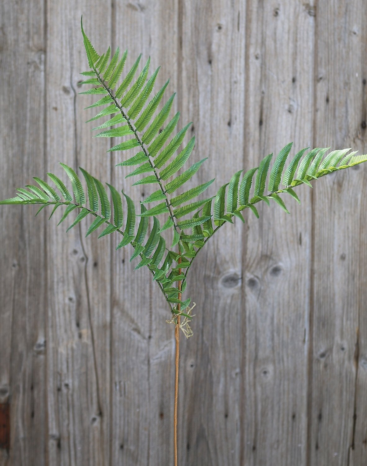 4916 883 a3 Стебель искусственного папоротника, 74 см, зеленый H-andreas  - Вид №1