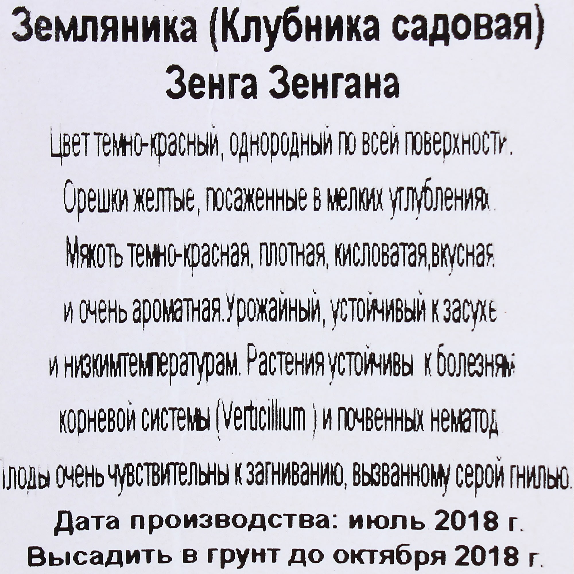 82008048 Клубника «Зенга Зенгана» (1/24) Santreyd  - Вид №2