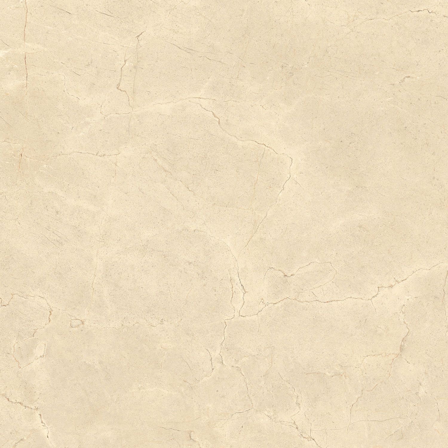 Пол / облицовка керамогранита с эффектом камня Italgraniti Calcis ARCH-00078048 - Вид №11