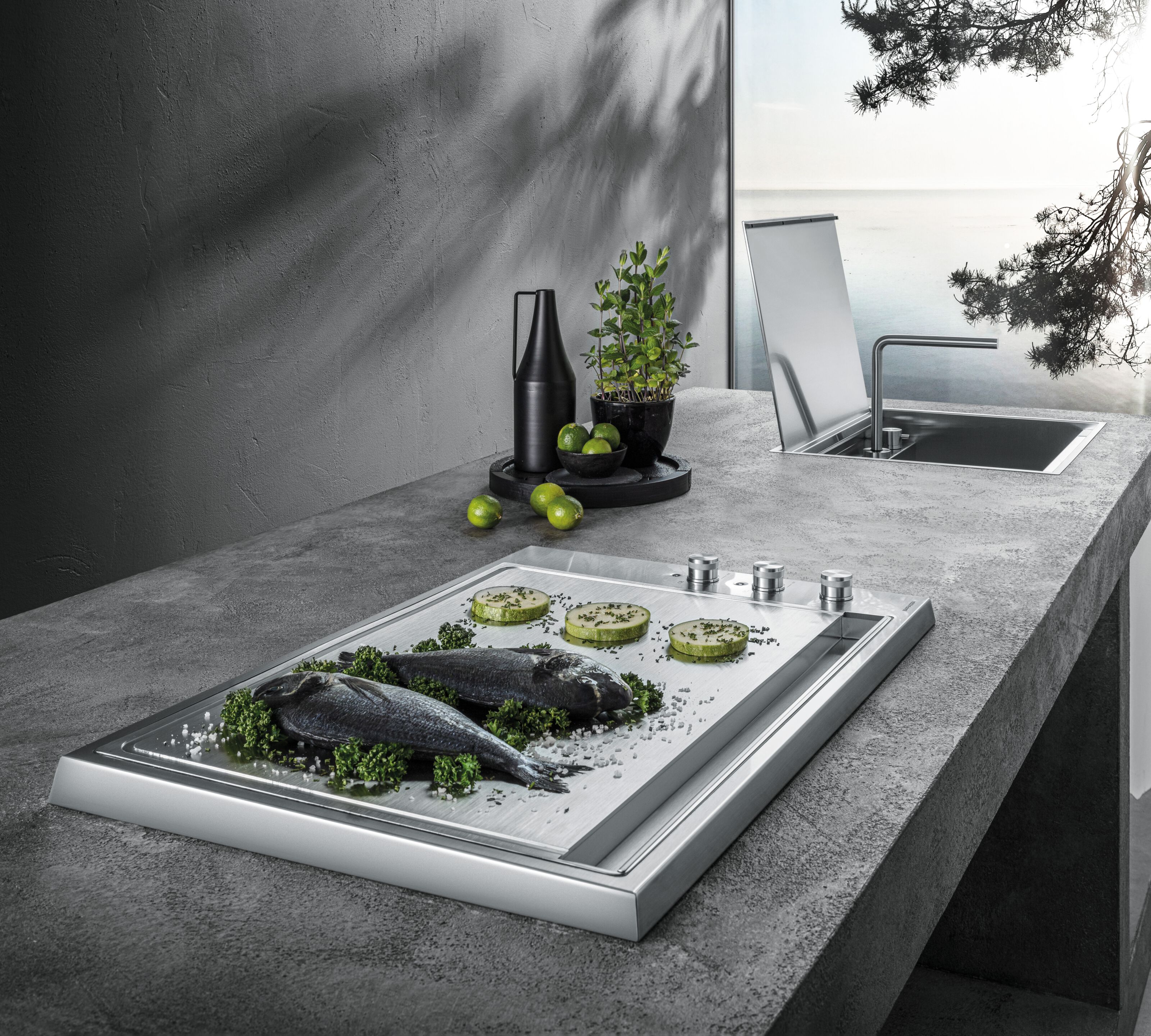 Плита из нержавеющей стали теппаньяки Barazza Thalas Outdoor ARCH-00068544 - Вид №1