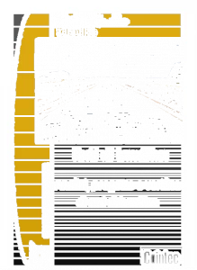 COINTEC Программное обеспечение для проектирования дренажных сетей Edilstudio idraulica