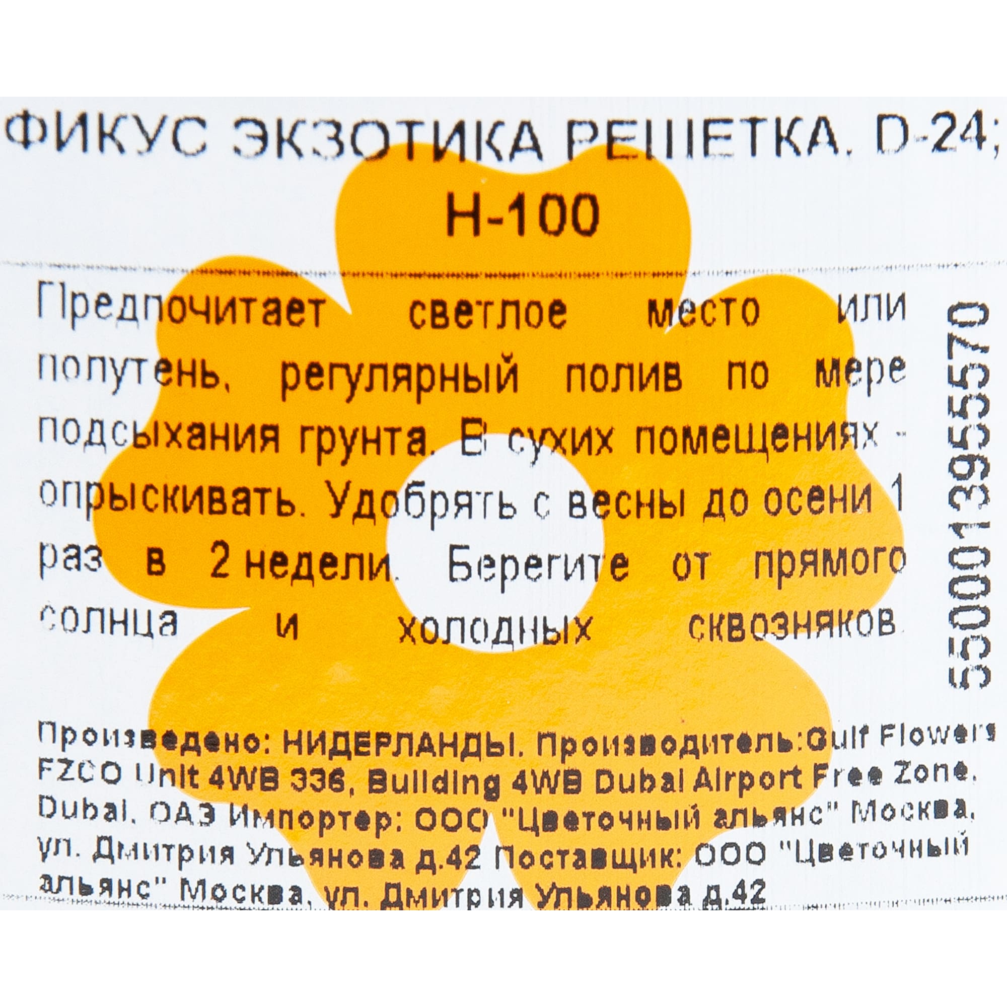 82850355 Фикус "Экзотика решетка" 24х100 см Santreyd  - Вид №2