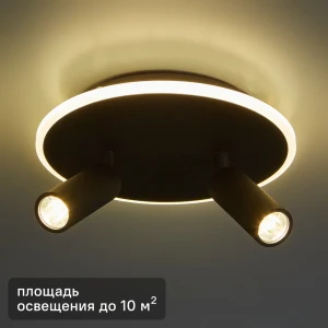 Светильник потолочный 20046SMA/02 цвет черный