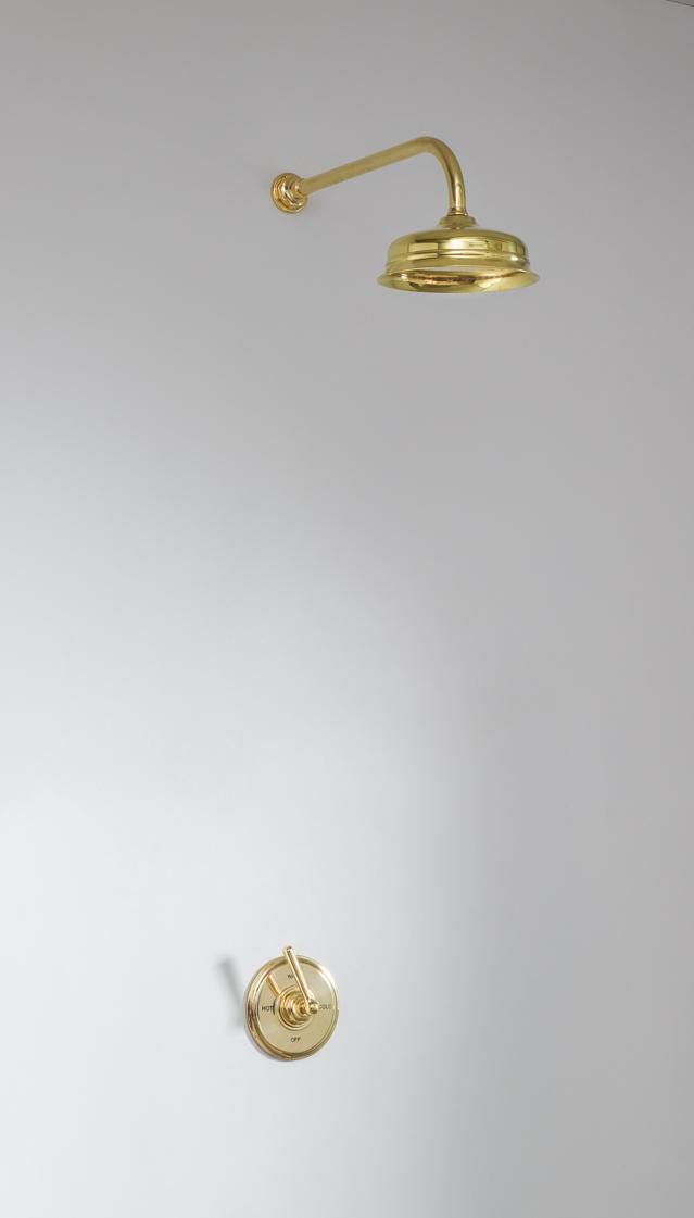 Скрытая душевая кабина Bill - Тип A - розетка 8 дюймов Bill & Ben The water monopoly sun-id-2132334