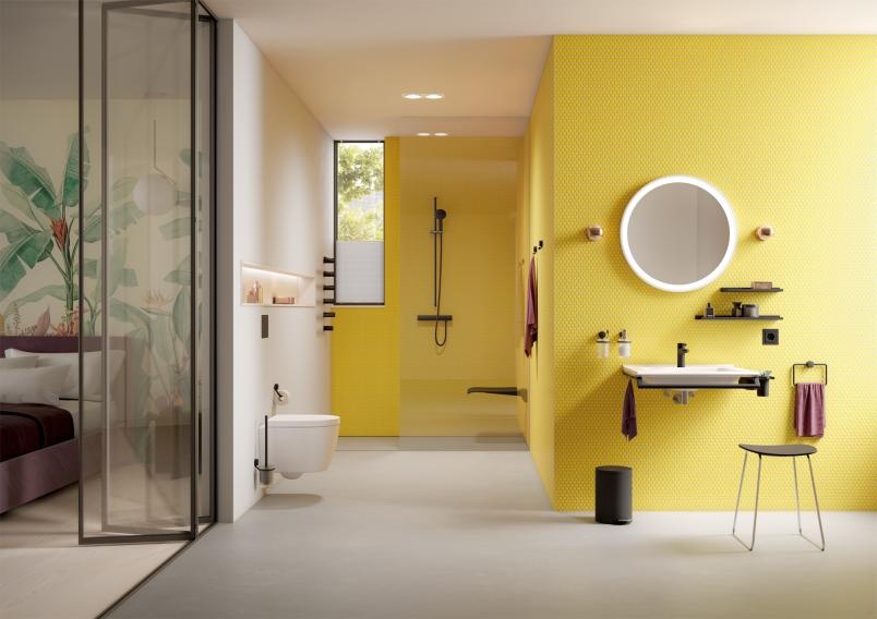 815.21.20060 Держатель рулона туалетной бумаги с крышкой HEWI WC-Accessoires  - Вид №2