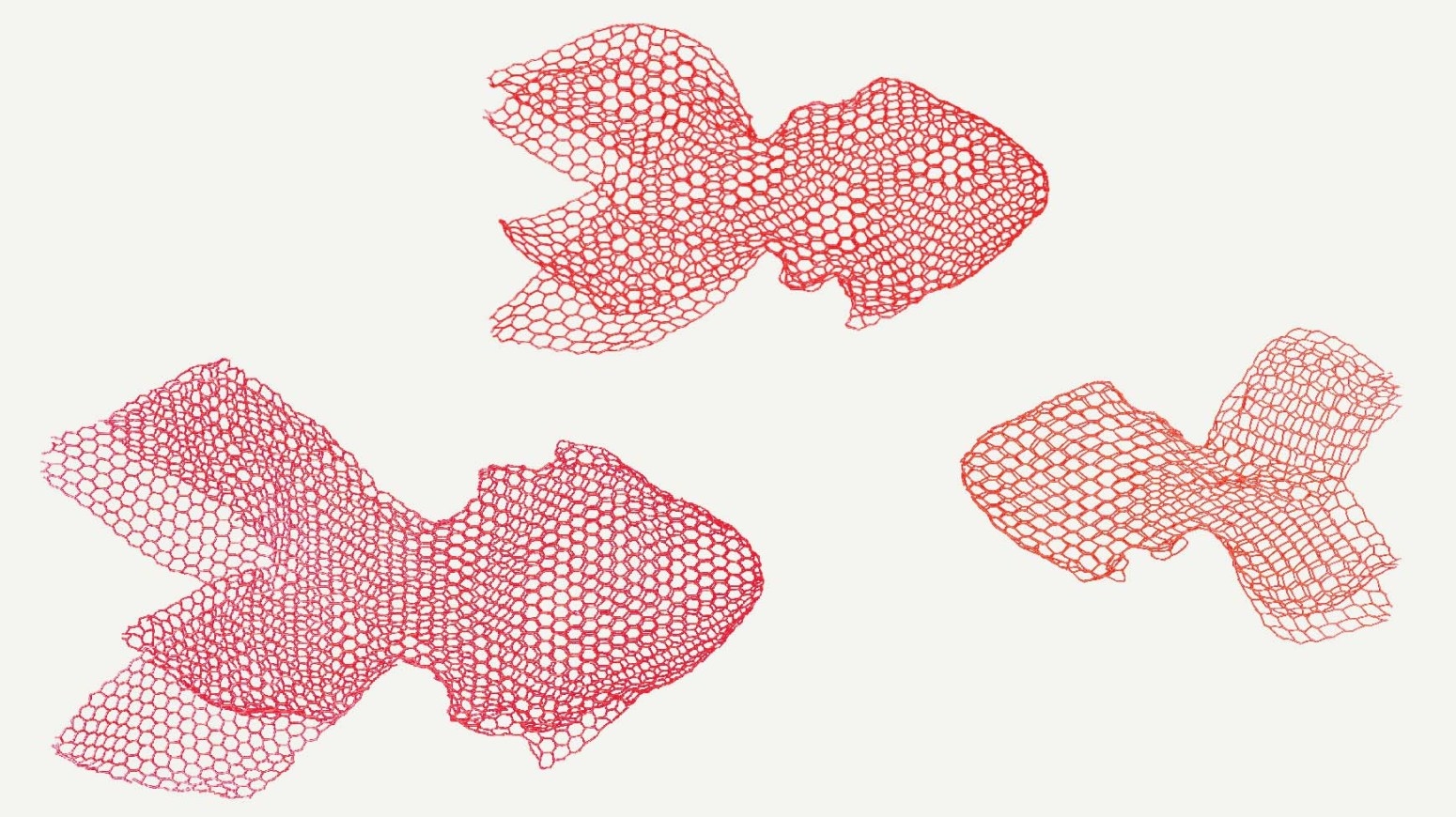 Рыба Magis sun-id-1328980 - Вид №4