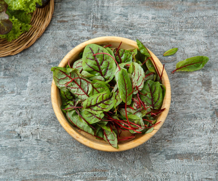 7350 Щавель красный (baby leavs) Выращено Рядом (iFarm) Вкусляндия 