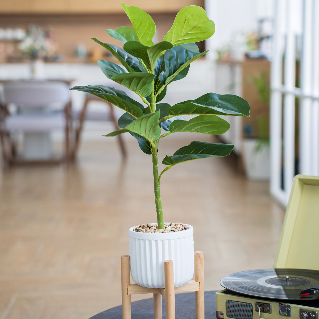 87681880 Искусственное растение Фикус 70x14.5 см пластик STLM-0074890 Santreyd  - Вид №5