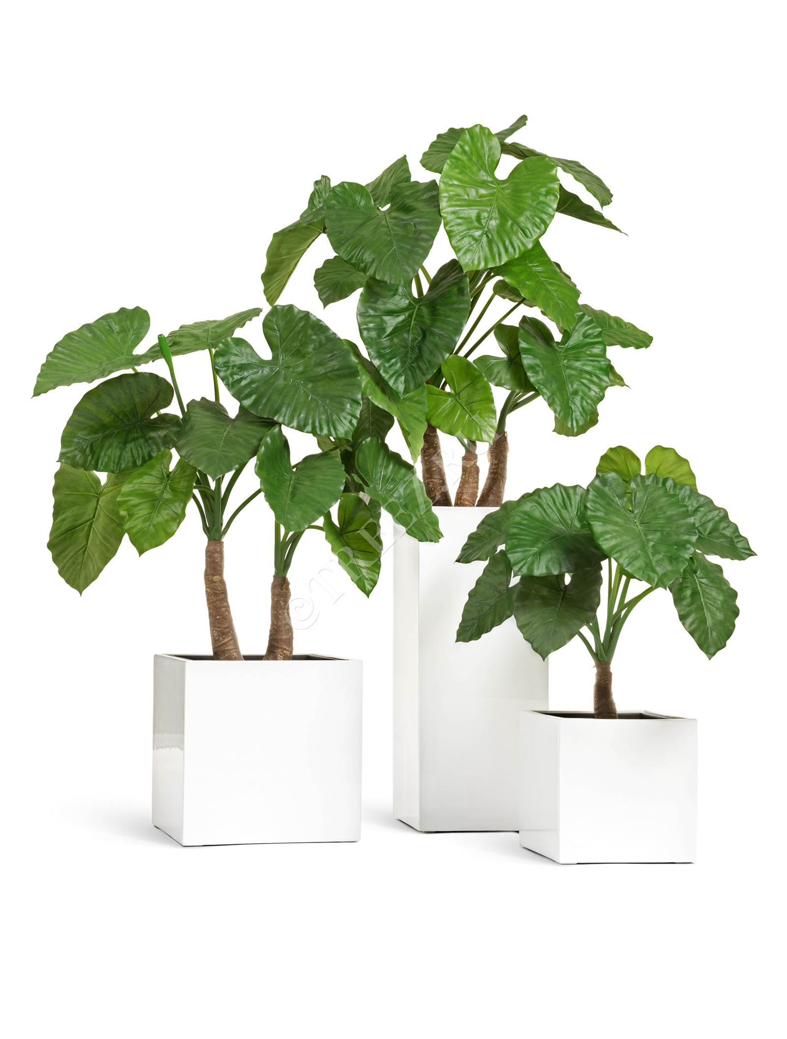 41.3320-05-033-WH-20 Кашпо  Effectory - серия Gloss - Куб - Белый глянцевый лак Цветочная коллекция  - Вид №6