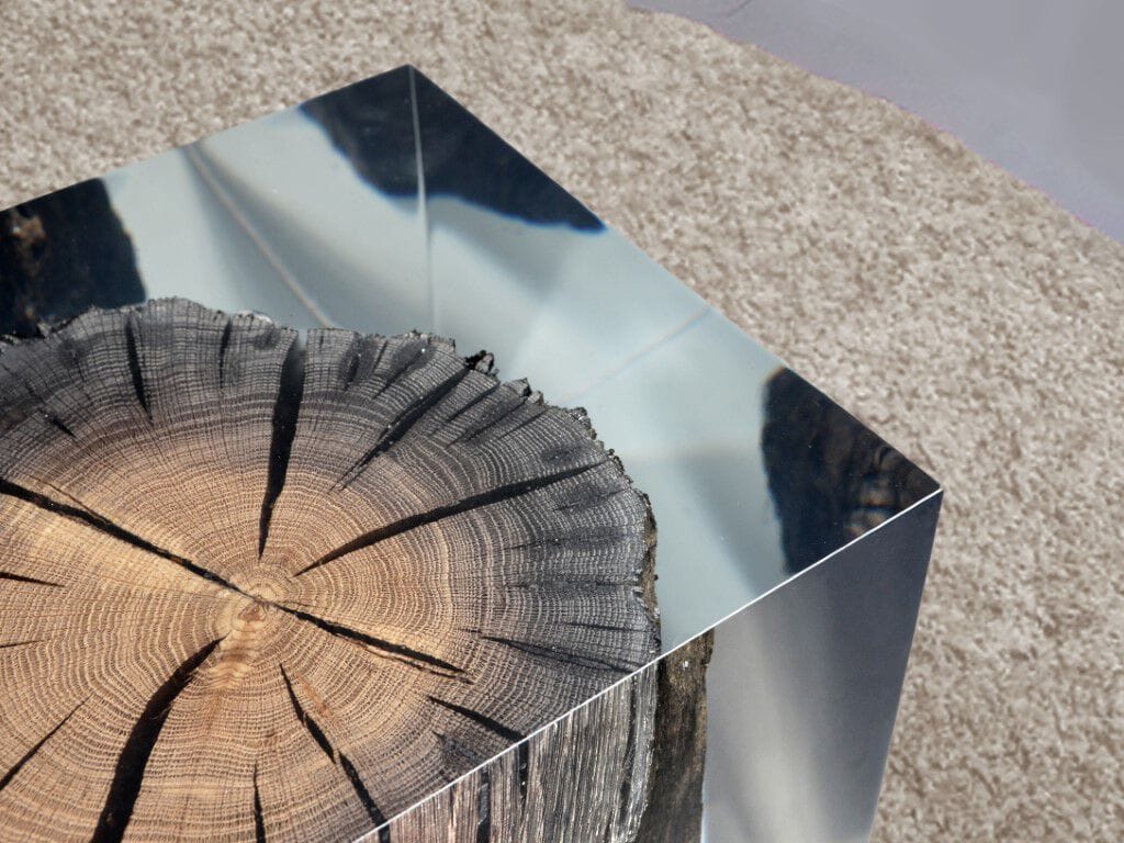 Журнальный столик / табурет alcarol Wetland ARCH-00051618 - Вид №1