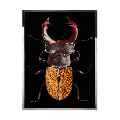 Coleottero Ambra Смешанная техника Visionnaire 
