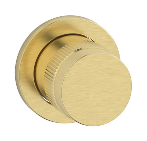 Комплект внешних частей настенного прогрессивного смесителя на 1 потребителя. WE ARE IB rx305is Brushed Pale Gold Reflex