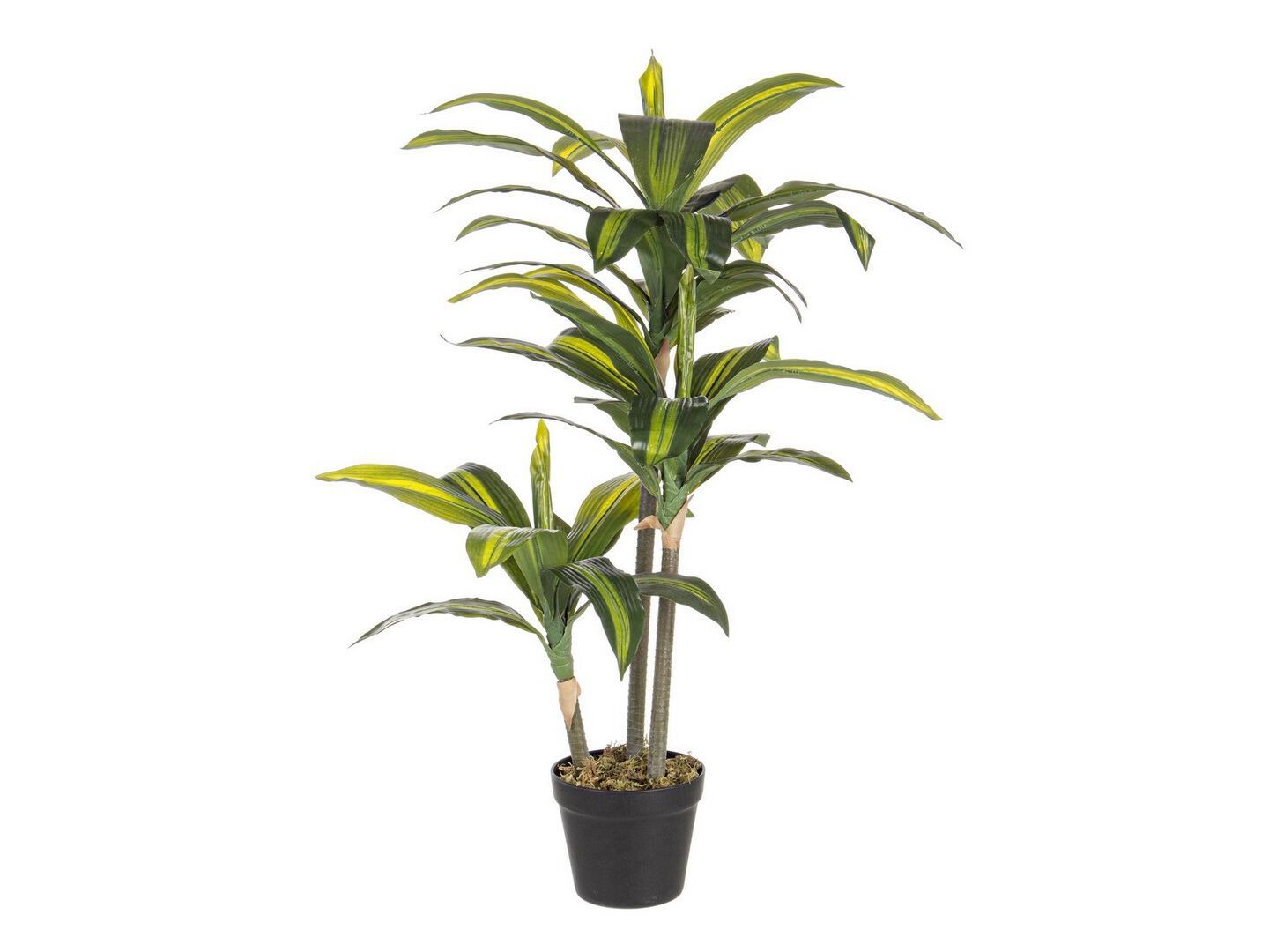 Искусственное растение BIZZOTTO DRACAENA ARCH-00014451
