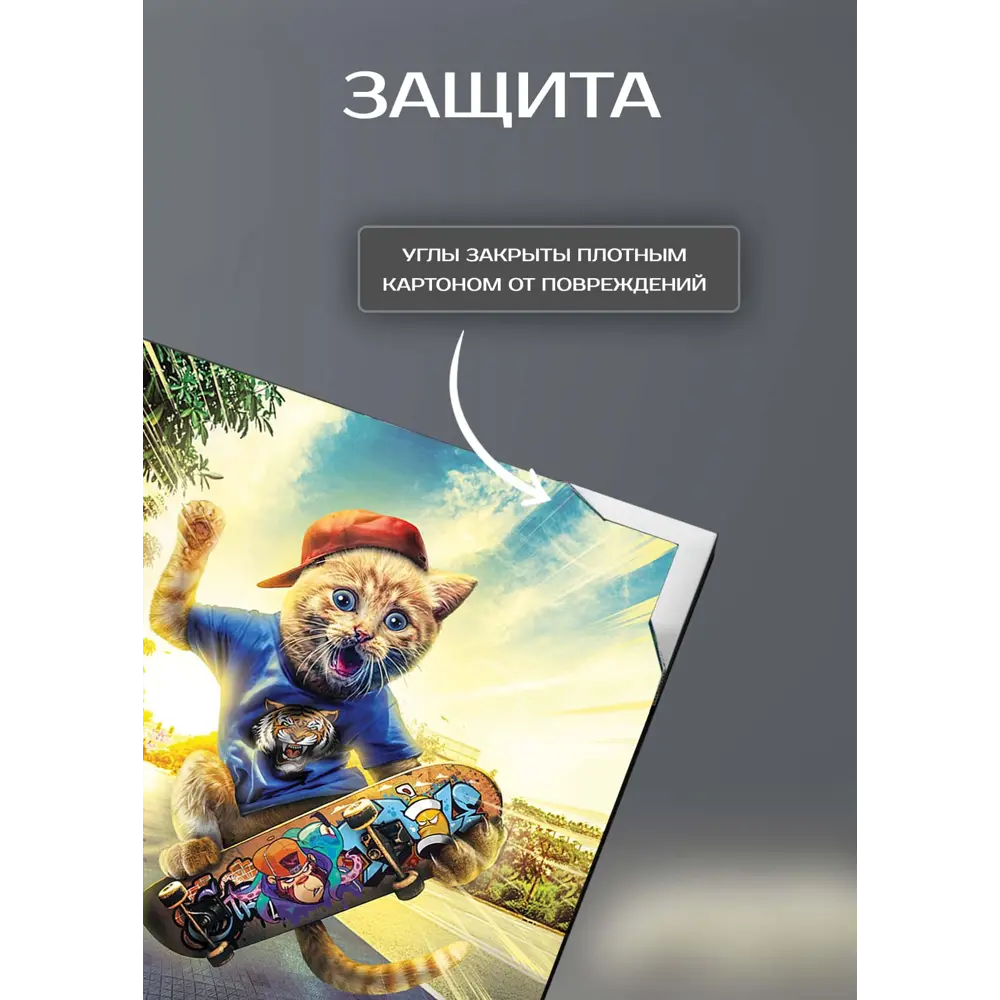 Картина на холсте Кот на скейте 30x30 см FBRUSH STLM-2170859 - Вид №5