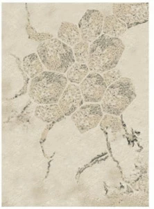 Duquesa & Malvada Прямоугольный шерстяной коврик  Dmr002