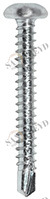 Винт RK 01 63 080 RK01 Tecfi 6,3 х 8060 