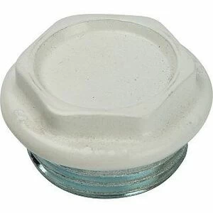 Пробка глухая с прокладкой 1/2" SN Global (левый)