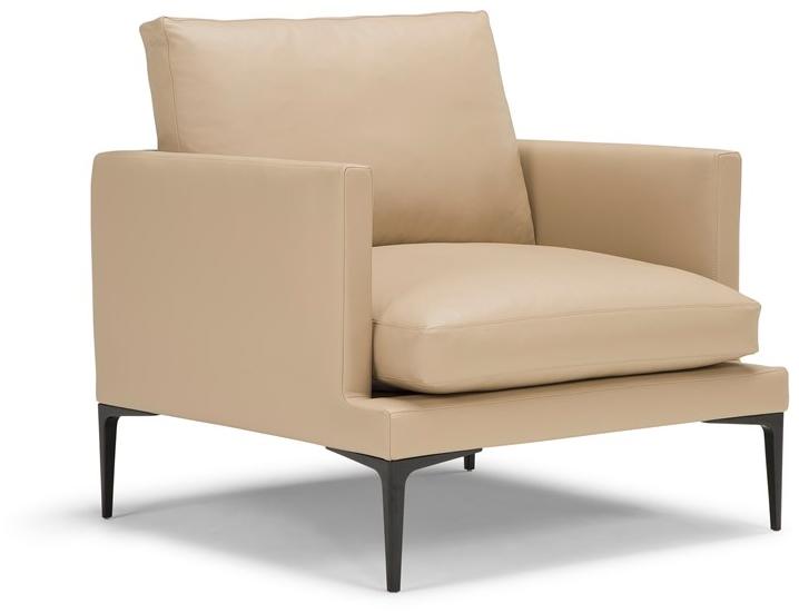 AMURA Кожаное кресло с подлокотниками Segno Am008.010 - Вид №1