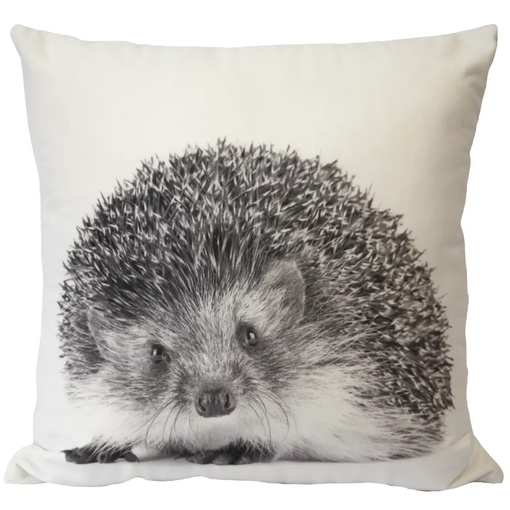 SEASONS Подушка Еж: бархатный акцент для вашего интерьера 83982047 STLM-1056224