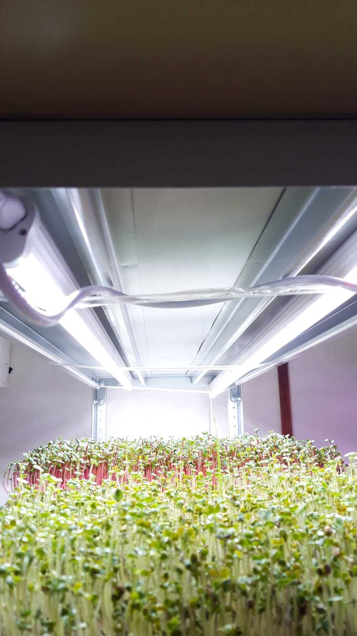 1037 Фитолампа для растений линейная VA-3 90 см Фулл комфорт 4000+660 LAB.Space  - Вид №5