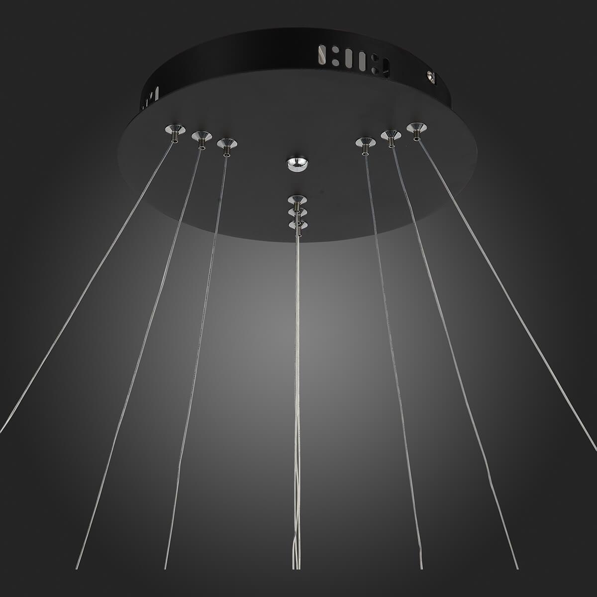 Люстра светодиодная подвесная черная ST Luce Erto SL904.403.03 ST LUCE ДИЗАЙНЕРСКИЕ, ERTO 00-3834522 Белый;черный  - Вид №2