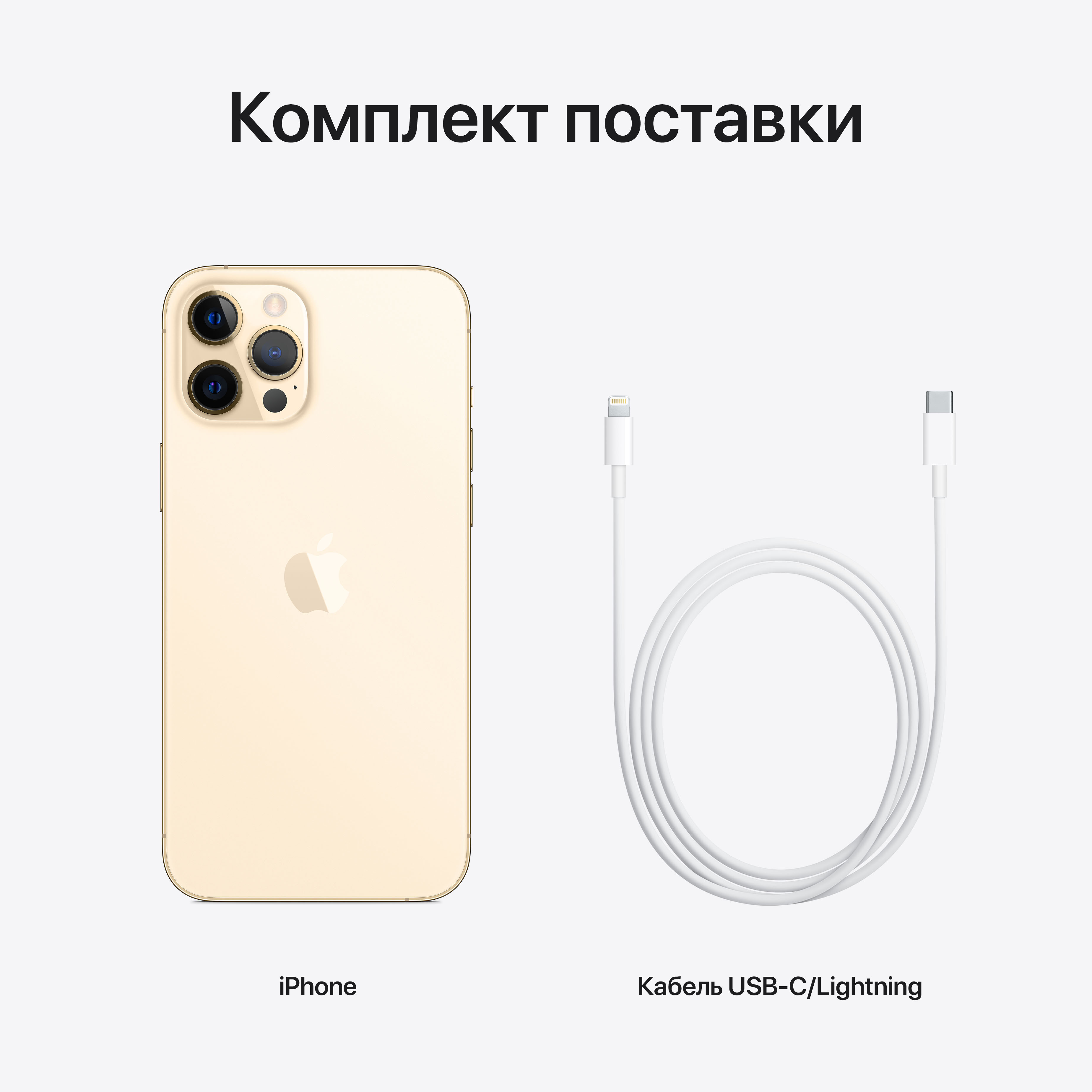 MGDE3RU/A Iphone 12 pro max 256gb gold Apple Santreyd  - Вид №4