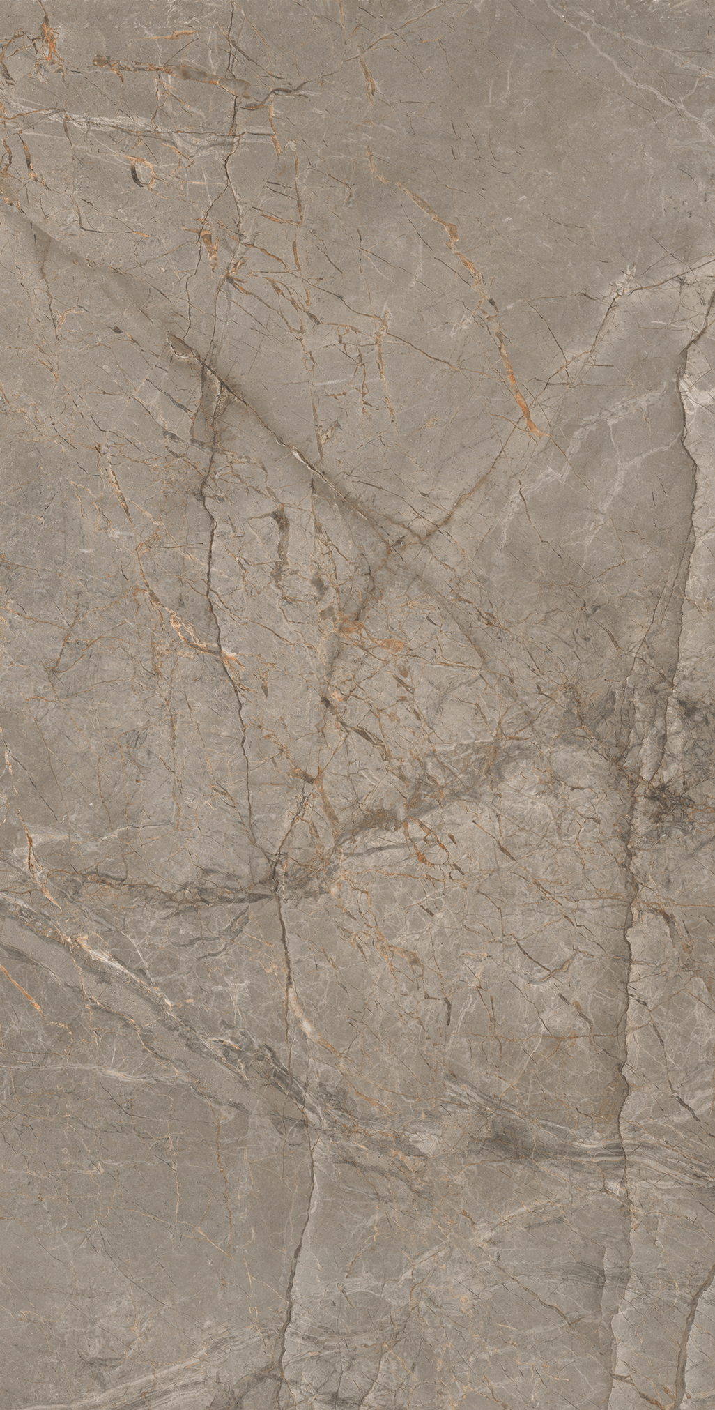 Керамогранит MISTRAL BROWN 60х120 Arcadia Ceramica CR4033-A - Вид №5
