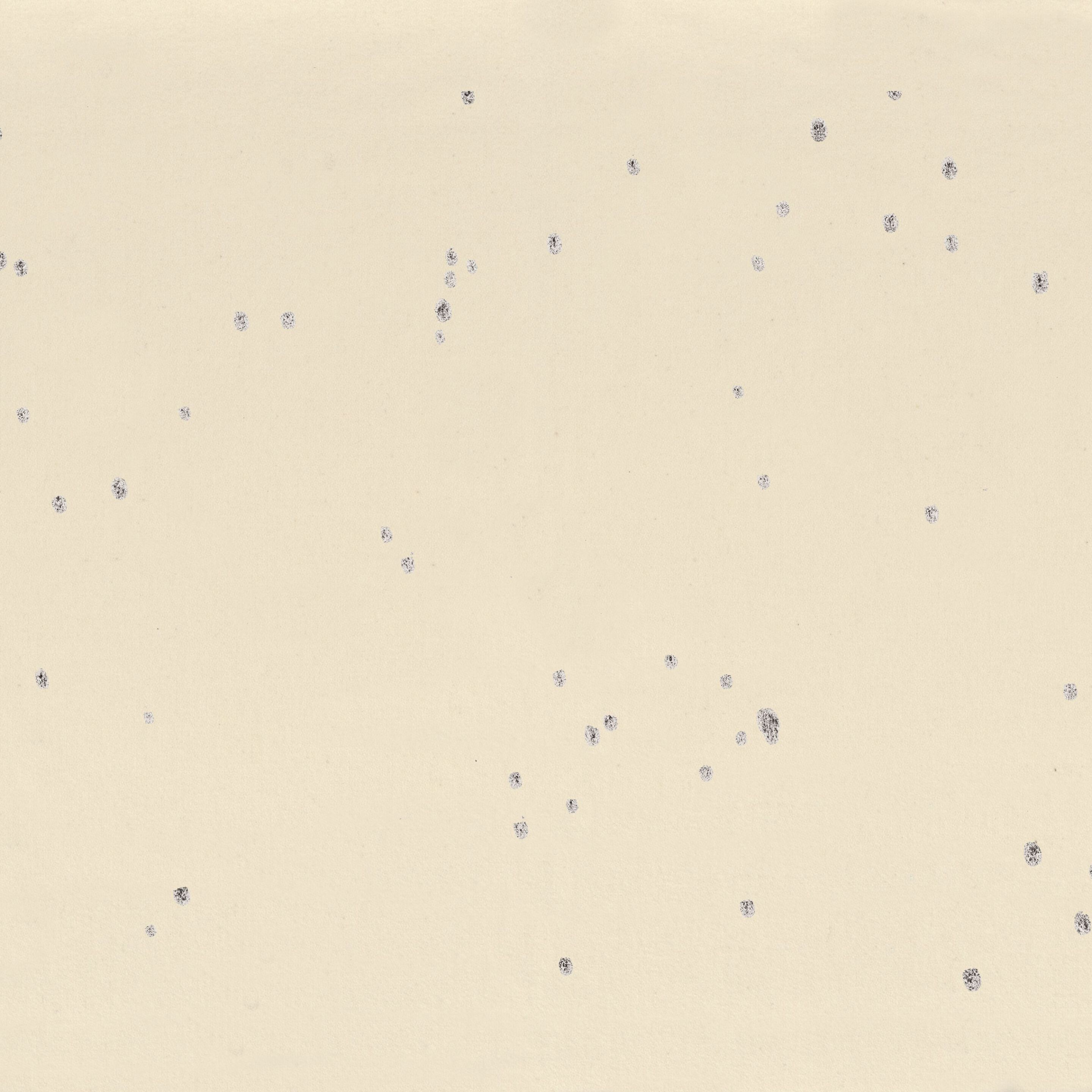 Шерстяная однотонная ткань Casamance Эдинбург ARCH-00110609 - Вид №3