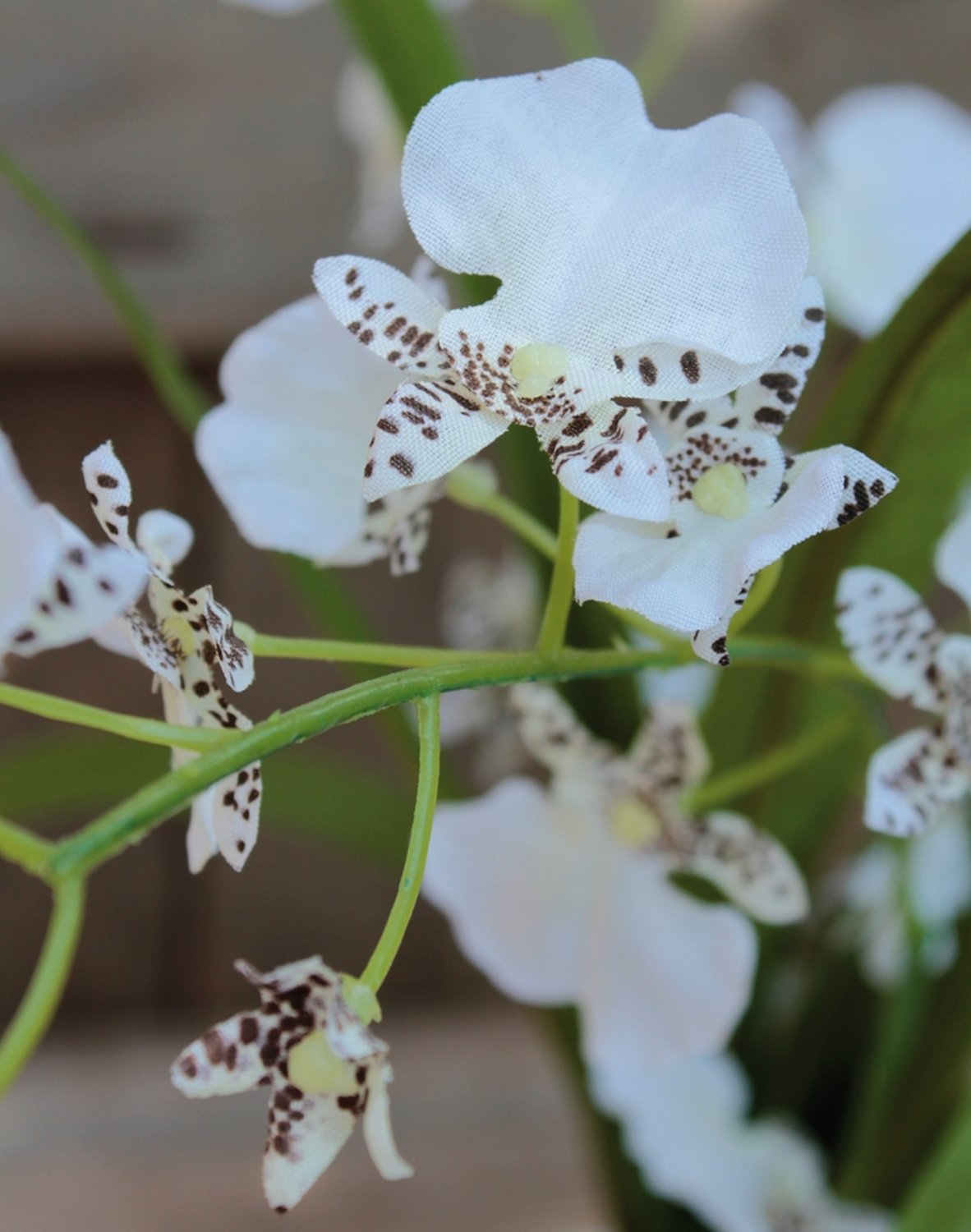 2516 778 a3 Синтетическая орхидея онцидиум, горшечная, 50 см, бежево-белая H-andreas  - Вид №4