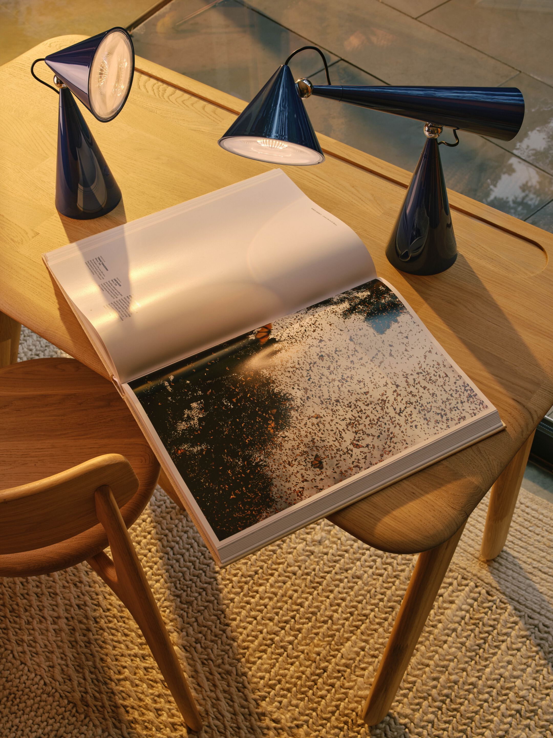 Светодиодная настольная лампа с батарейным питанием Tom Dixon POSE TASK LED ARCH-00076902 - Вид №12