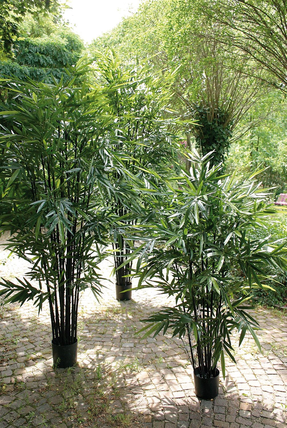 5694 883 a3 Бамбук искусственный, в горшке, 210 см, зеленый H-andreas  - Вид №13