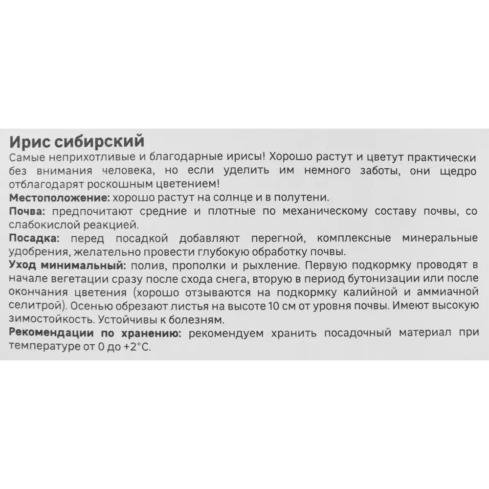 Ирис Geolia сибирский Хау Одейшс STLM-2167230 - Вид №3