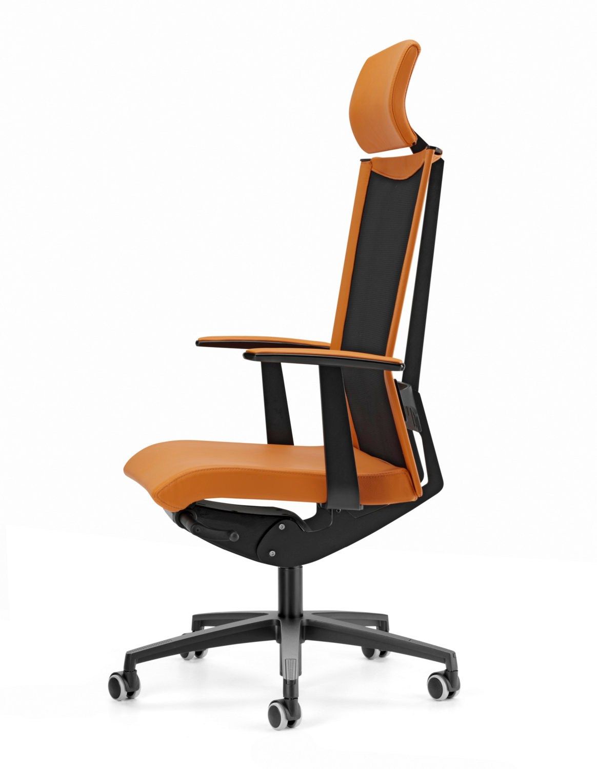 Офисное кресло с сетчатыми колесами и подлокотниками с 5 спицами TALIN Avianet ARCH-00126777 - Вид №1