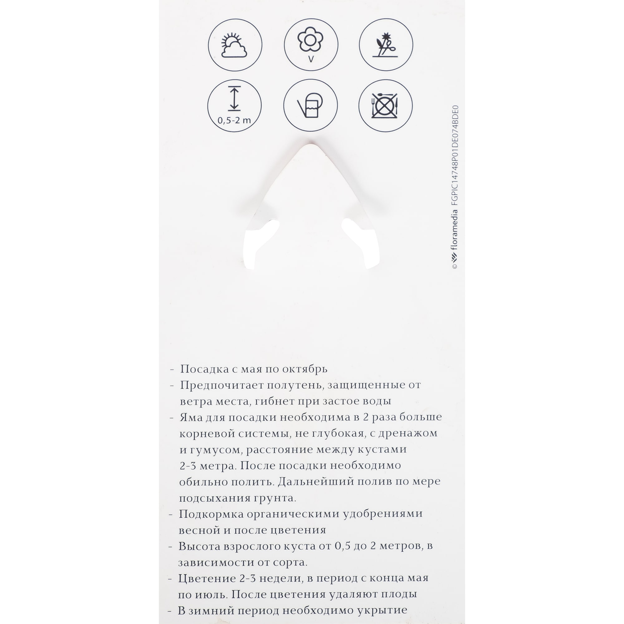 82176137 Рододендрон якушиманский «Хоппи» P9 Santreyd  - Вид №1