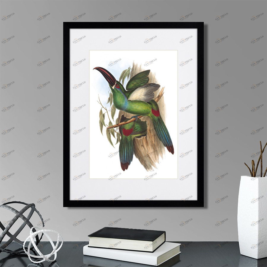 Картина в раме 32х42 см Toucans №5, 1849г. КАРТИНЫ В КВАРТИРУ  264537 Желтый;зеленый;коричневый;разноцветный 