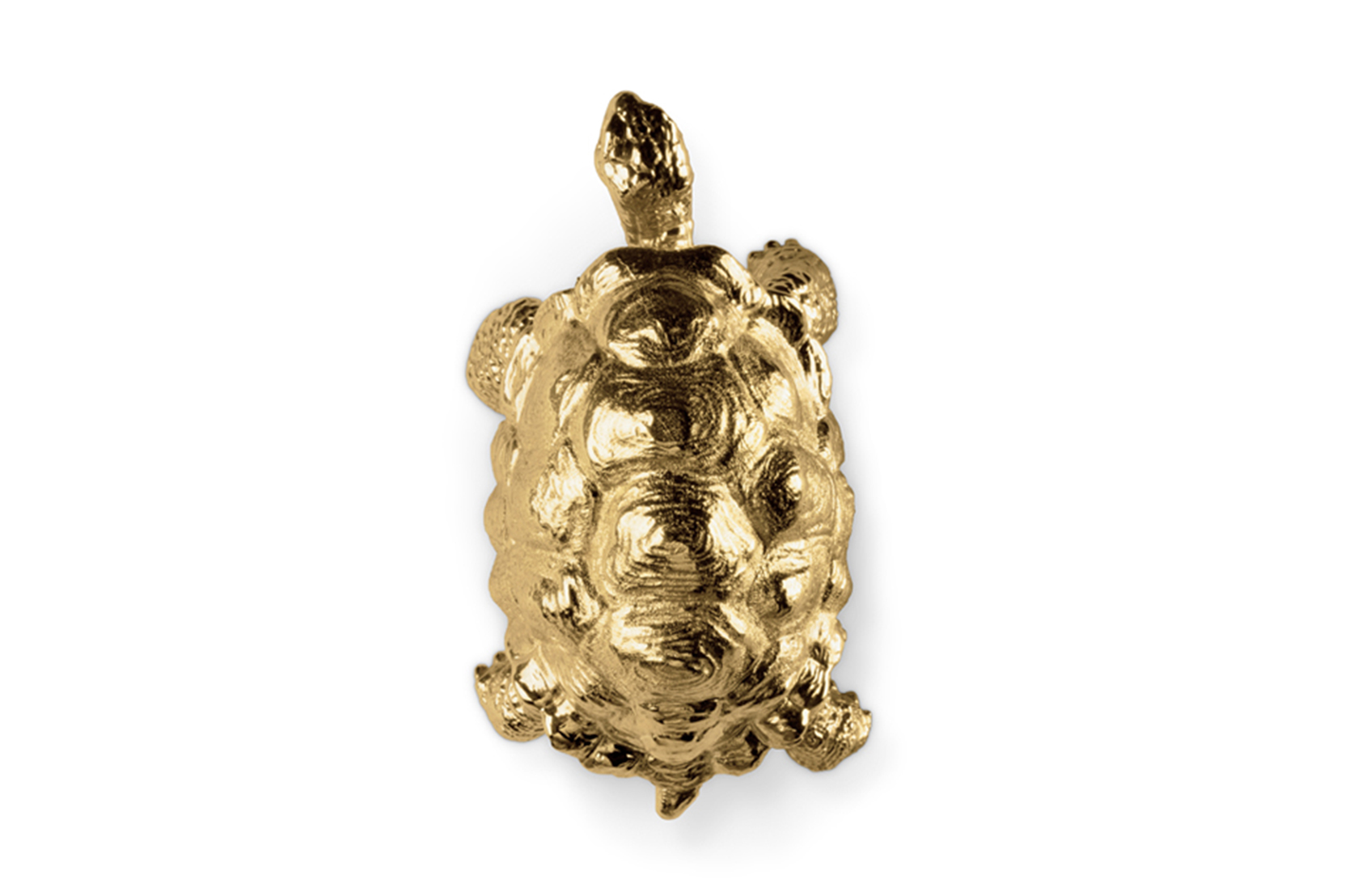 CIST830 Мебельные ручки Черепаха Circu 