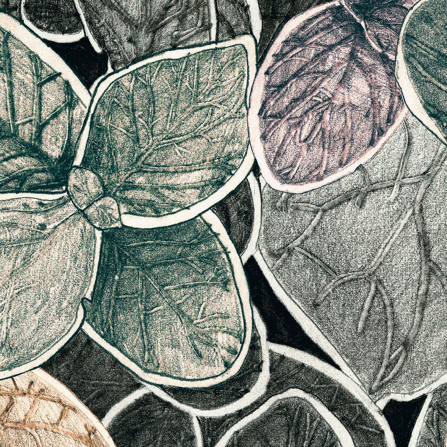 Обои с рисунком Ressource Faune &amp ARCH-00031135 - Вид №14